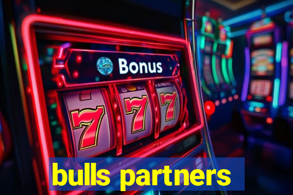 bulls partners